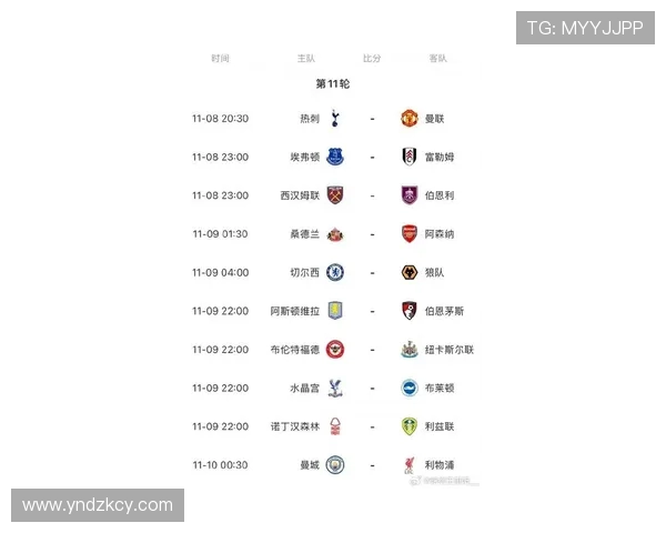 本赛季新加入英超联赛的几支球队情况总览