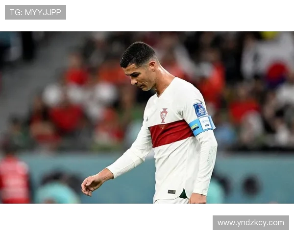 法甲比赛数据全景追踪：从控球率到射门质量的全面统计