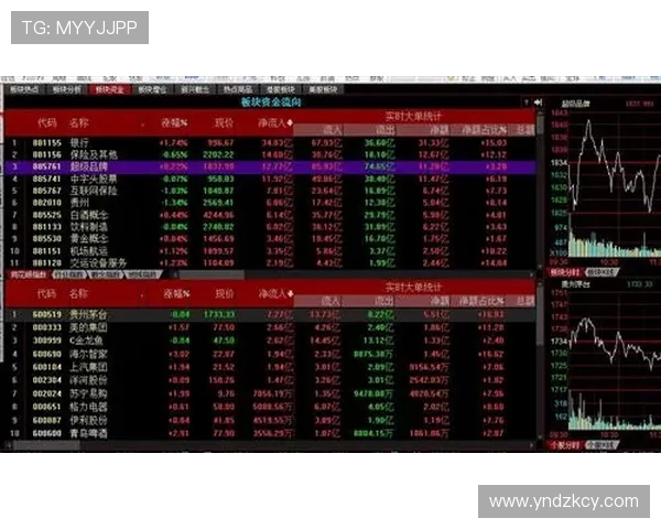 法甲球队投资回报率对比分析：谁在赚钱，谁在亏损