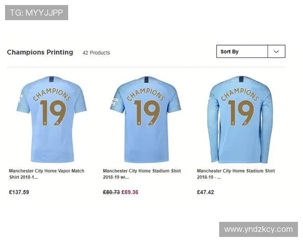 英超球员版球衣的设计与销售情况分析